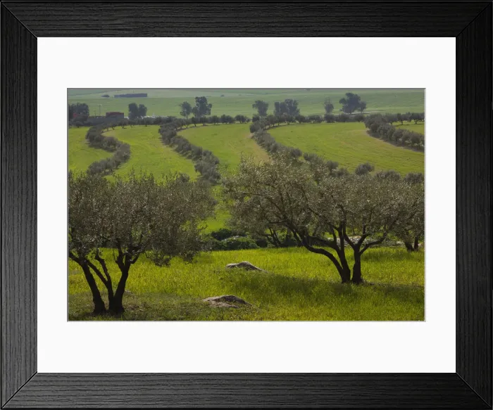 Framed Print : DDE-90022866 Framed Print : DDE-90022866