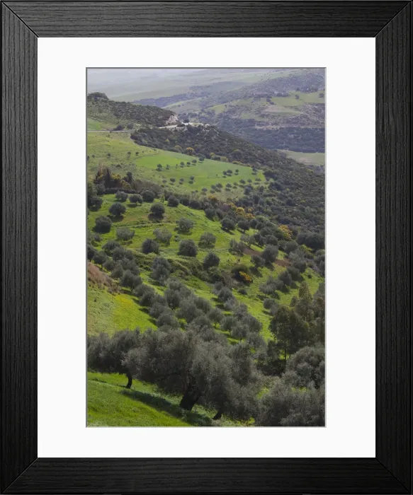 Framed Print : DDE-90022868 Framed Print : DDE-90022868