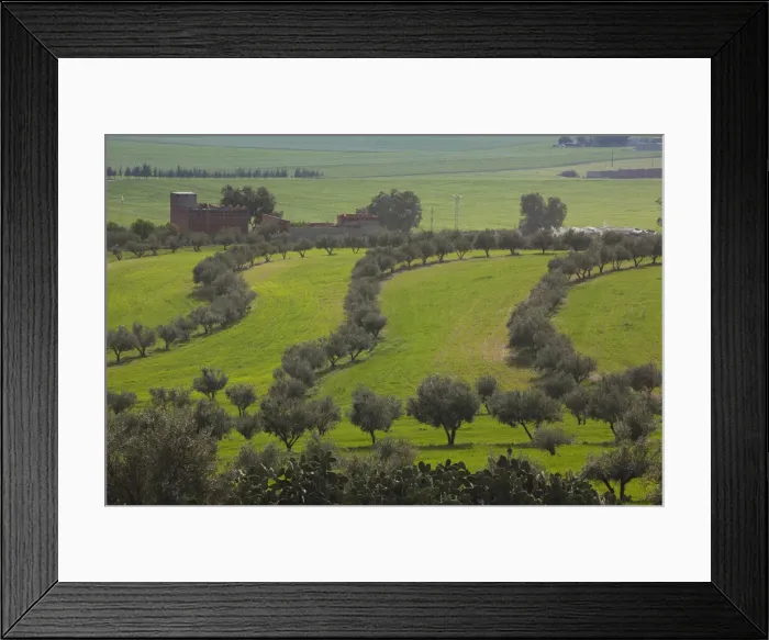 Framed Print : DDE-90022867 Framed Print : DDE-90022867