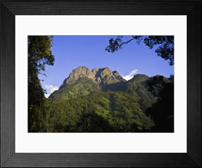Framed Print : DDE-90022876 Framed Print : DDE-90022876