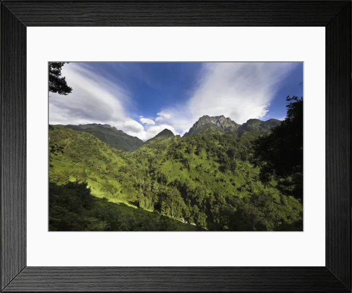 Framed Print : DDE-90022877 Framed Print : DDE-90022877