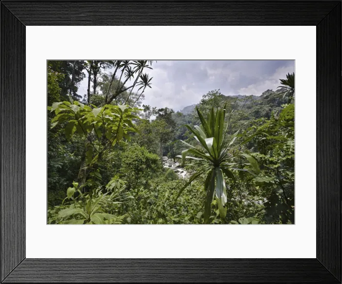 Framed Print : DDE-90022875