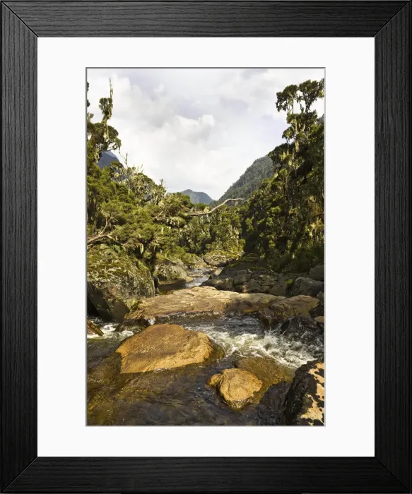 Framed Print : DDE-90022878 Framed Print : DDE-90022878