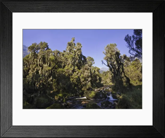 Framed Print : DDE-90022879 Framed Print : DDE-90022879