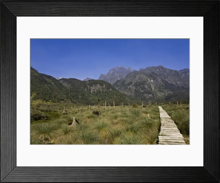 Framed Print : DDE-90022880 Framed Print : DDE-90022880