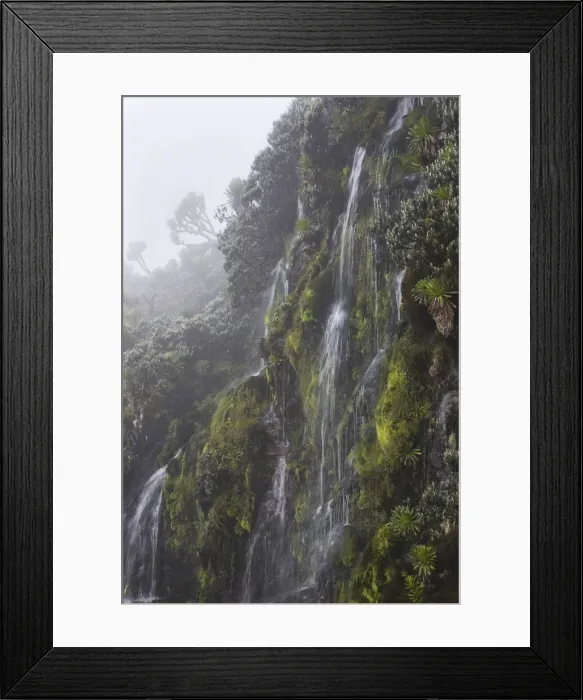 Framed Print : DDE-90022884 Framed Print : DDE-90022884