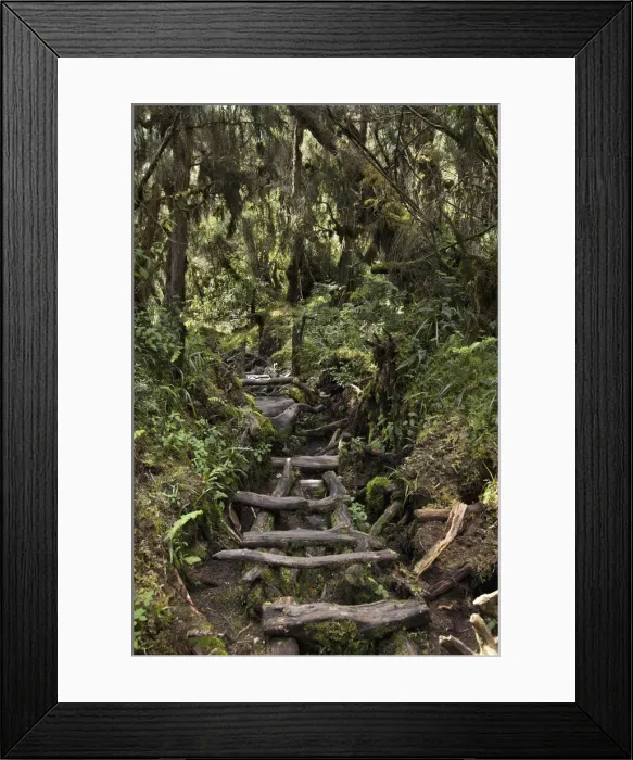 Framed Print : DDE-90022885 Framed Print : DDE-90022885