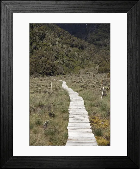 Framed Print : DDE-90022886 Framed Print : DDE-90022886
