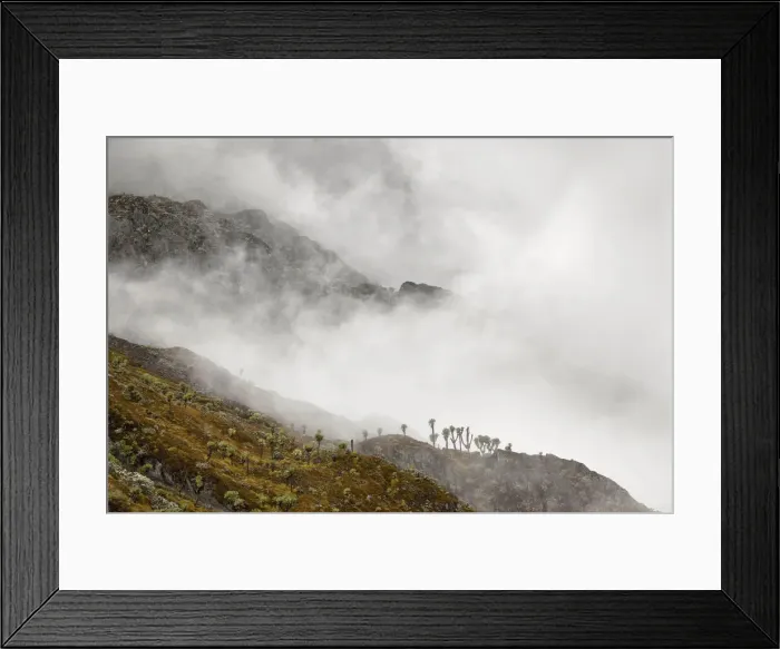 Framed Print : DDE-90022890 Framed Print : DDE-90022890