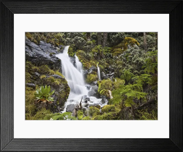 Framed Print : DDE-90022891 Framed Print : DDE-90022891