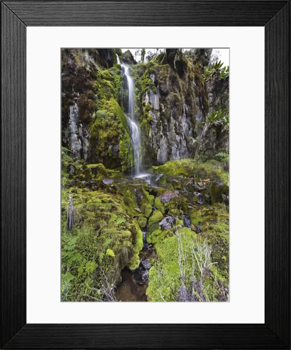Framed Print : DDE-90022888 Framed Print : DDE-90022888