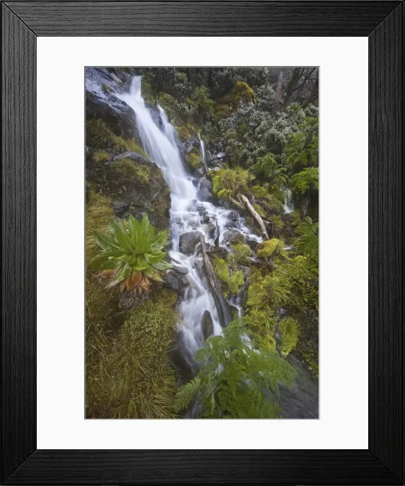 Framed Print : DDE-90022892 Framed Print : DDE-90022892