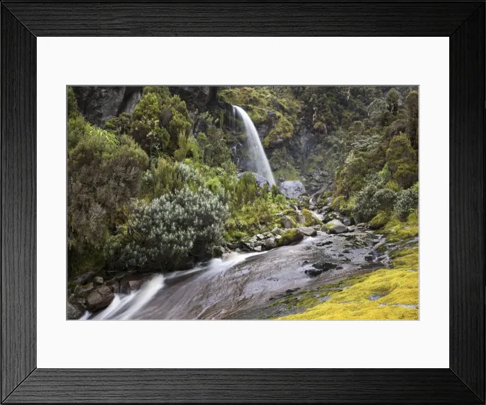 Framed Print : DDE-90022896 Framed Print : DDE-90022896
