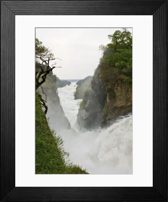 Framed Print : DDE-90022900 Framed Print : DDE-90022900
