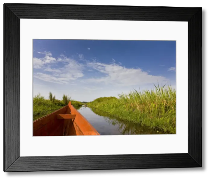 Framed Print : DDE-90022905 Framed Print : DDE-90022905