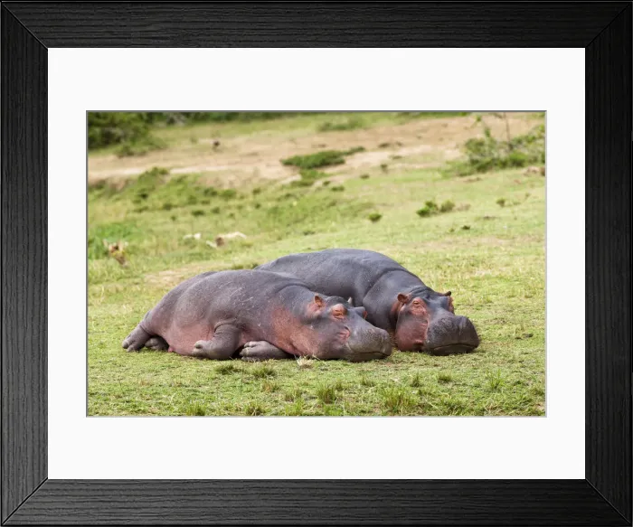 Framed Print : DDE-90022907