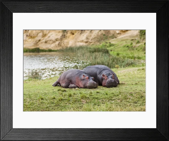 Framed Print : DDE-90022908 Framed Print : DDE-90022908