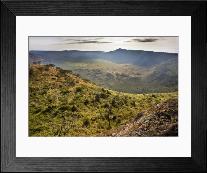 Framed Print : DDE-90022912 Framed Print : DDE-90022912