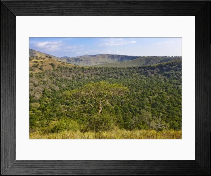 Framed Print : DDE-90022913 Framed Print : DDE-90022913