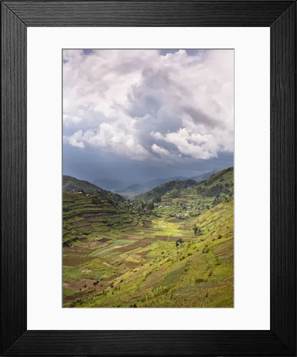 Framed Print : DDE-90022916