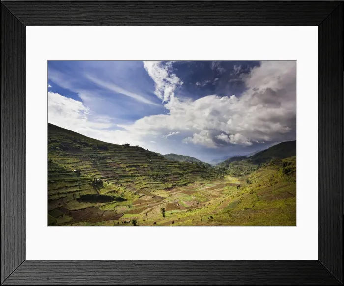 Framed Print : DDE-90022917 Framed Print : DDE-90022917