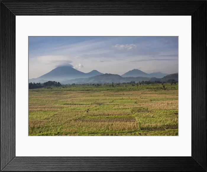 Framed Print : DDE-90022918