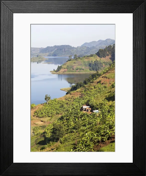 Framed Print : DDE-90022919 Framed Print : DDE-90022919