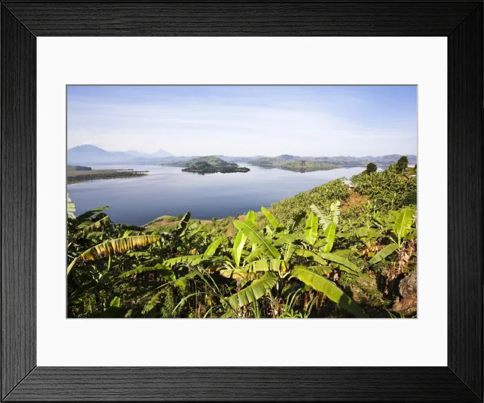 Framed Print : DDE-90022921 Framed Print : DDE-90022921