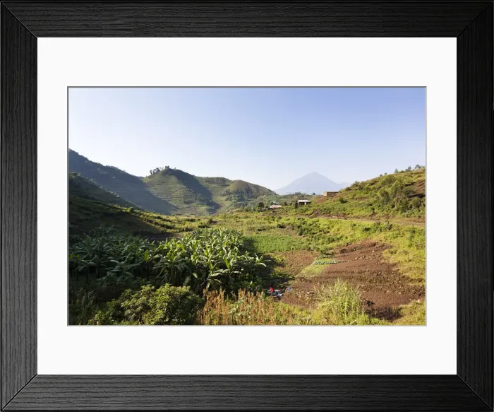 Framed Print : DDE-90022928 Framed Print : DDE-90022928