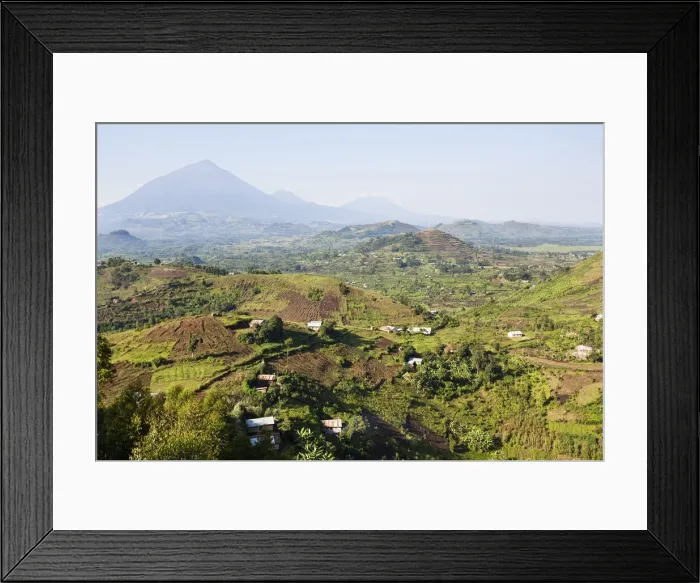 Framed Print : DDE-90022929