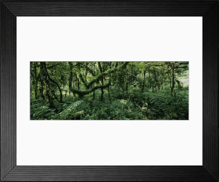Framed Print : DDE-90022936 Framed Print : DDE-90022936