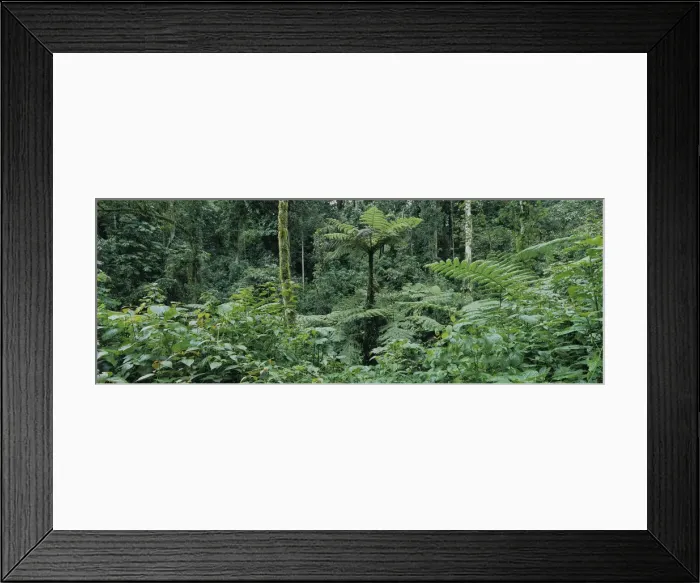 Framed Print : DDE-90022950 Framed Print : DDE-90022950