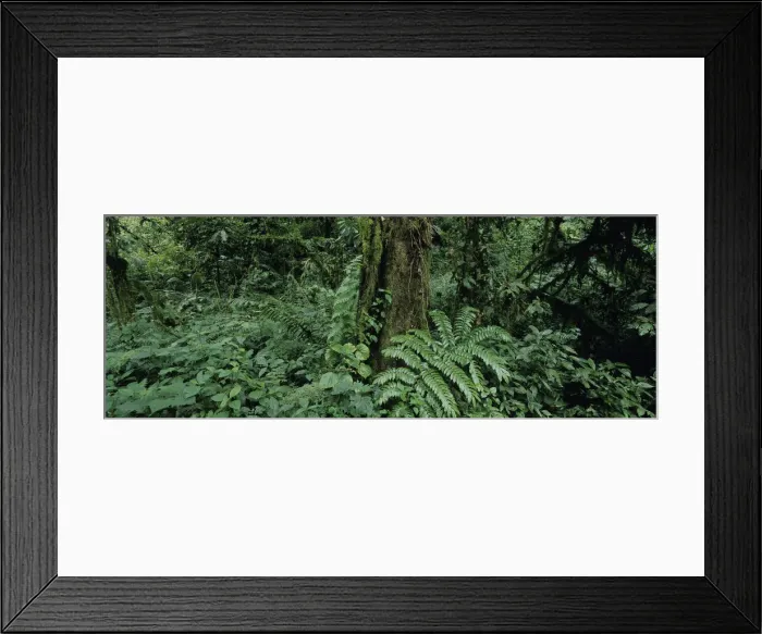 Framed Print : DDE-90022951 Framed Print : DDE-90022951