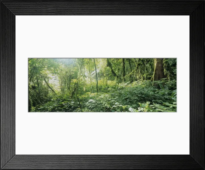 Framed Print : DDE-90022952 Framed Print : DDE-90022952