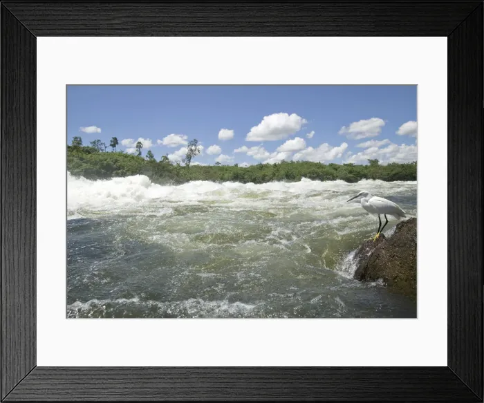 Framed Print : DDE-90022967
