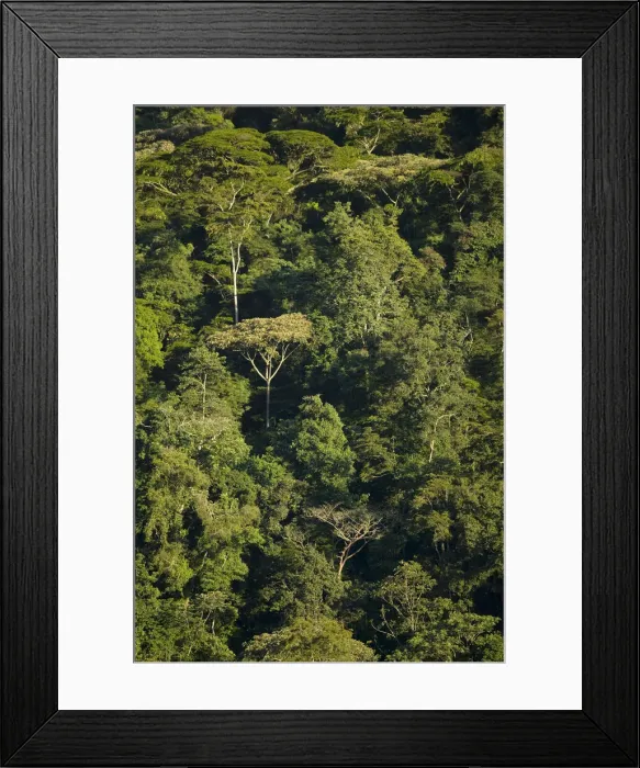 Framed Print : DDE-90022966
