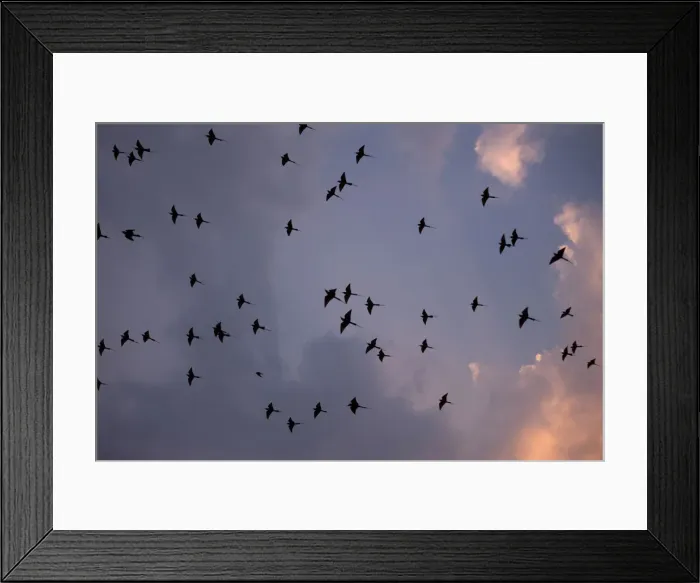 Framed Print : DDE-90022976