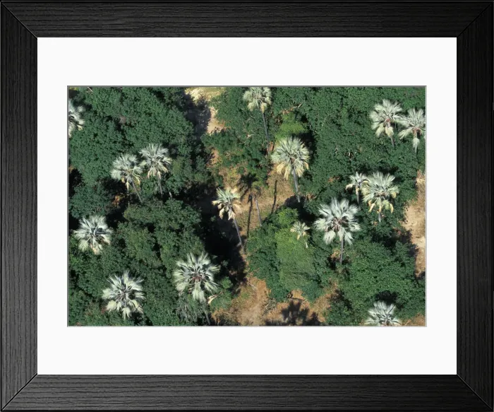 Framed Print : DDE-90022989