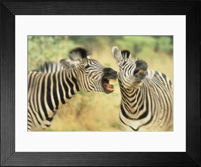 Framed Print : DDE-90023013 Framed Print : DDE-90023013
