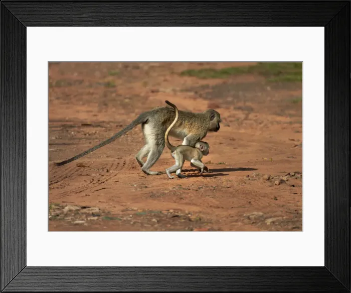 Framed Print : DDE-90023026 Framed Print : DDE-90023026