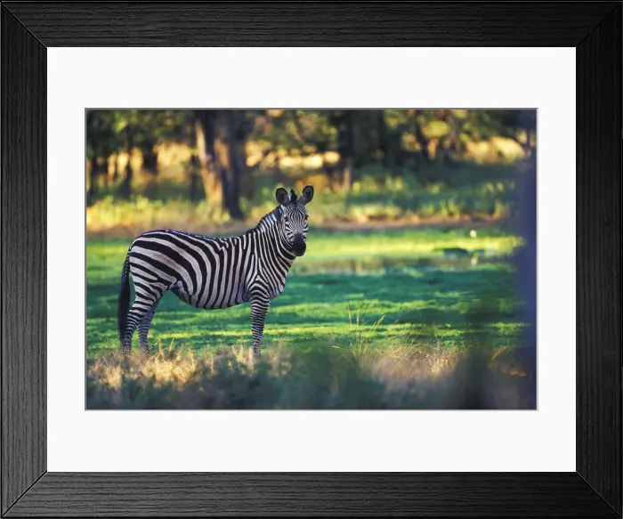 Framed Print : DDE-90023054 Framed Print : DDE-90023054