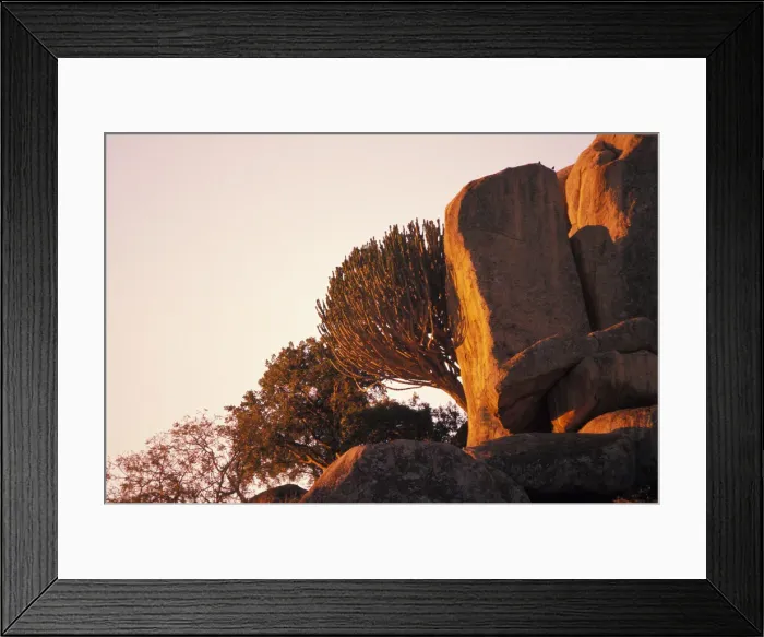 Framed Print : DDE-90023059 Framed Print : DDE-90023059