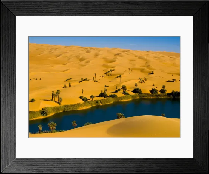 Framed Print : DDE-90023084