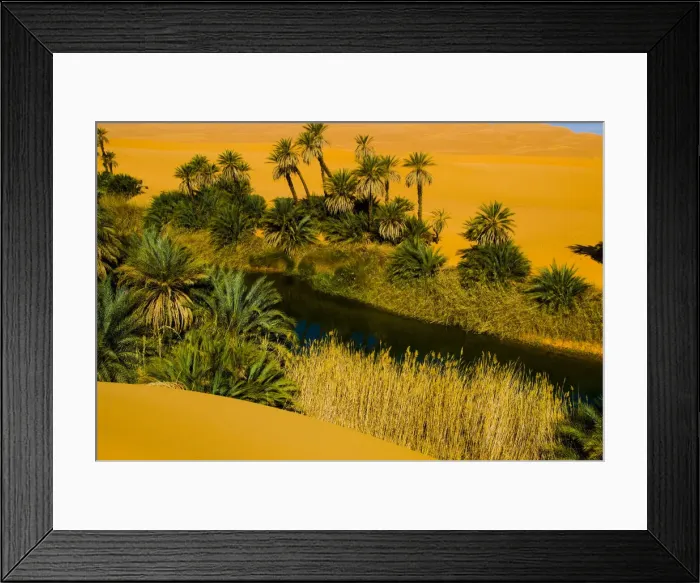 Framed Print : DDE-90023086