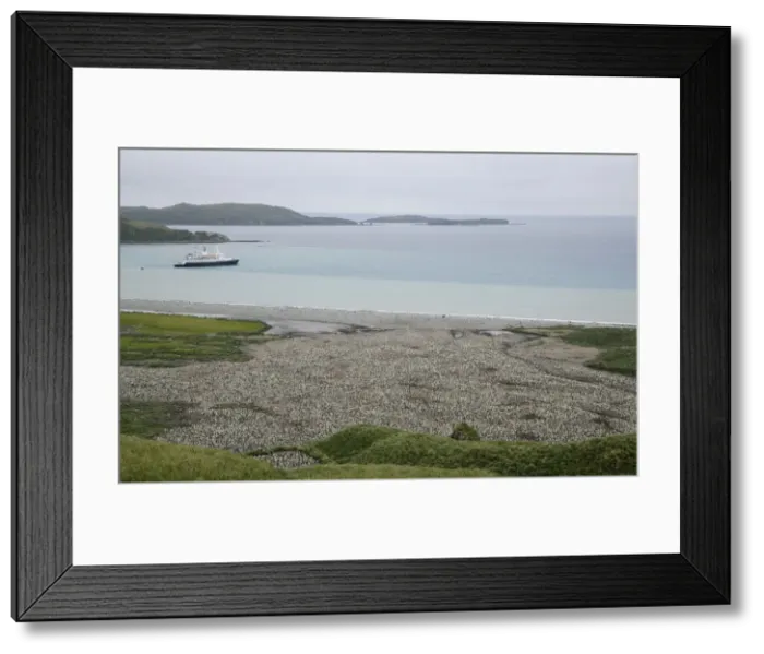 Framed Print : DDE-90023100 Framed Print : DDE-90023100