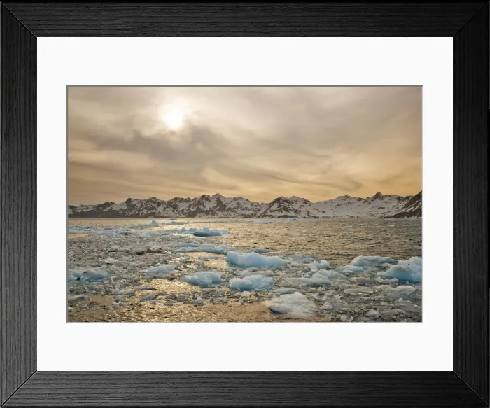 Framed Print : DDE-90023103 Framed Print : DDE-90023103