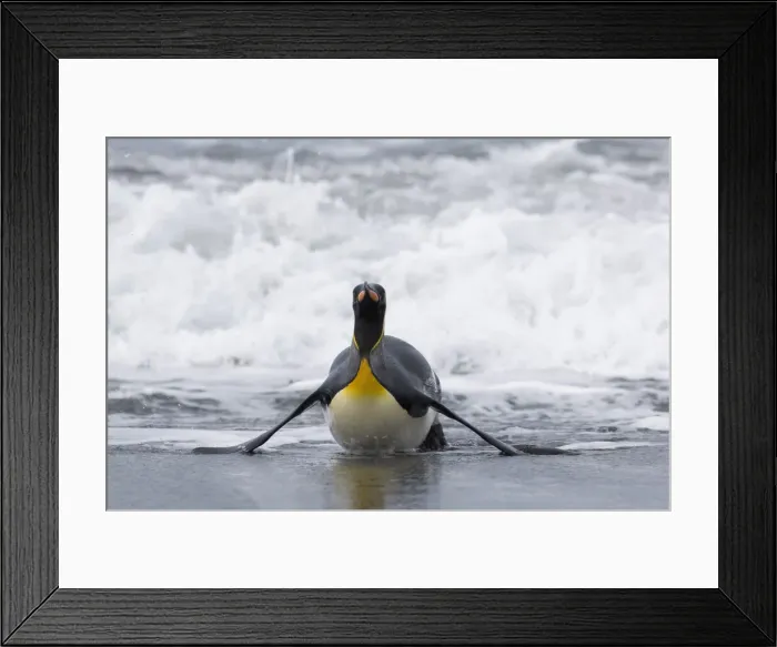 Framed Print : DDE-90023128 Framed Print : DDE-90023128