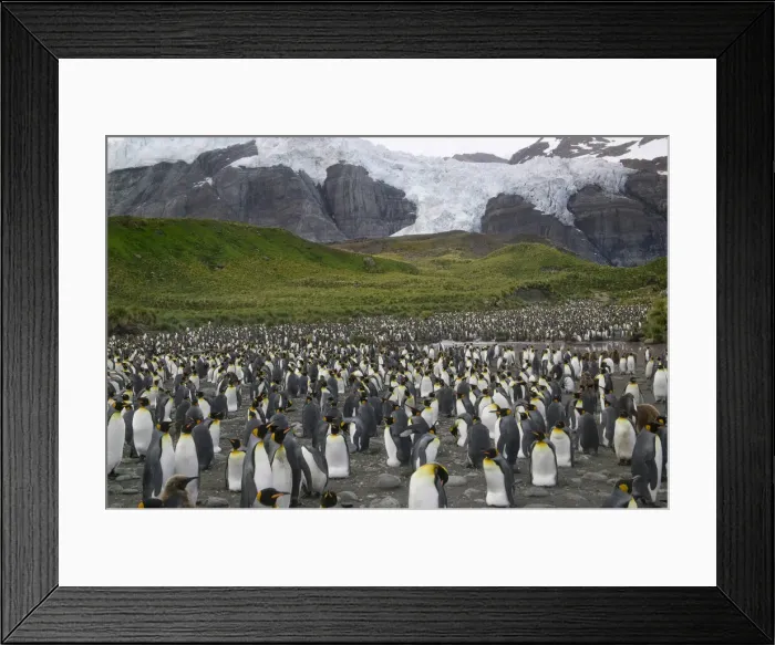 Framed Print : DDE-90023247 Framed Print : DDE-90023247