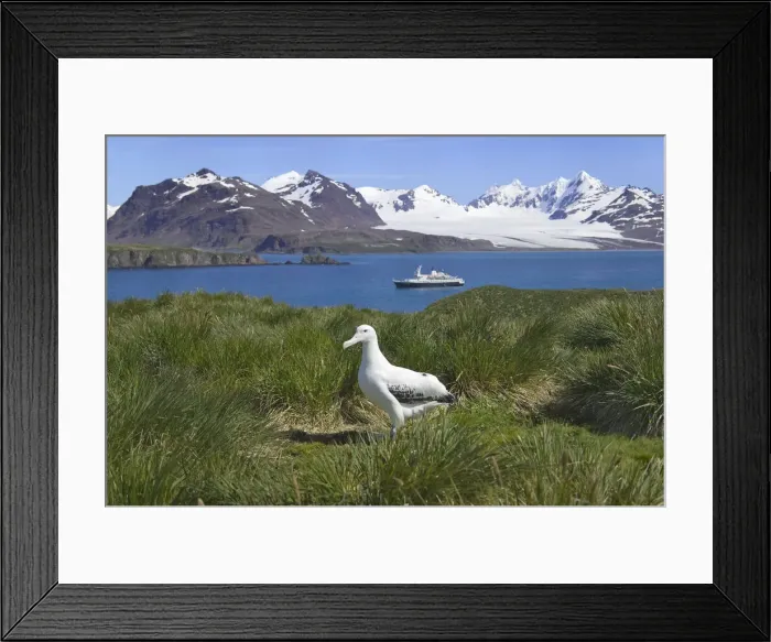 Framed Print : DDE-90023265 Framed Print : DDE-90023265