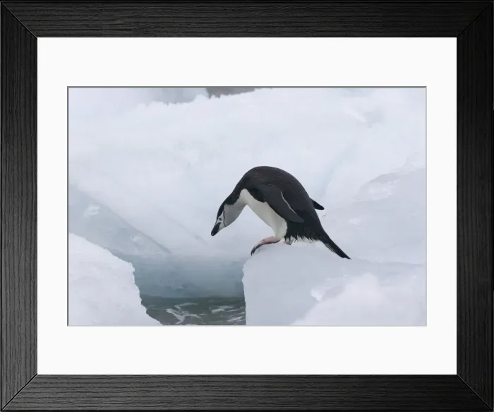 Framed Print : DDE-90023280